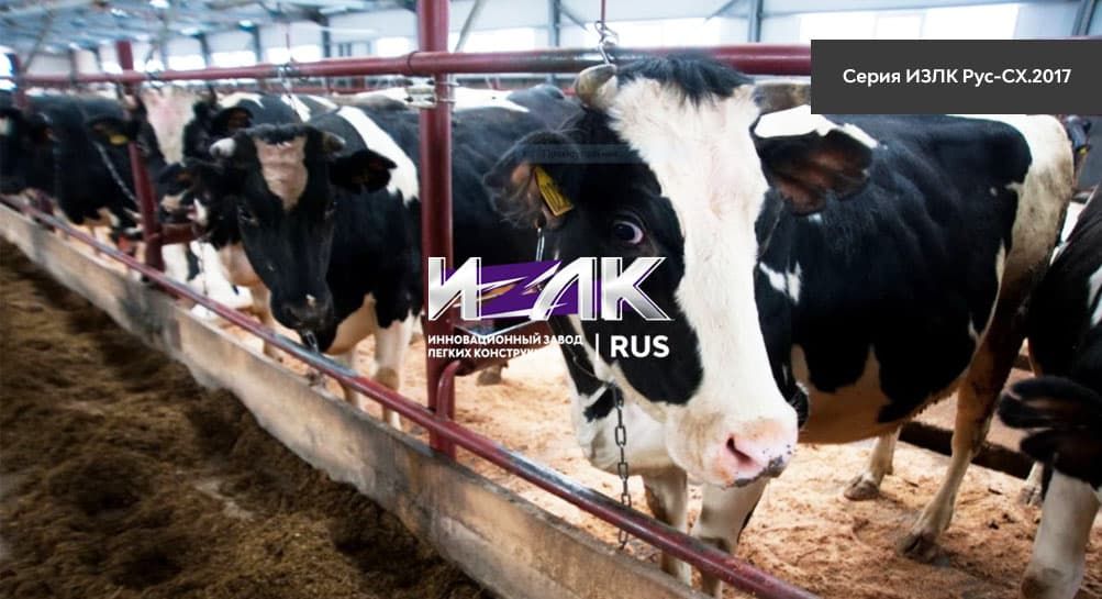Основные виды коровников, эксплуатируемых животноводами Балашихи и региона